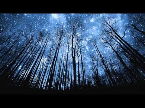 Paluch x Miuosh  "W Drodze do Lepszego Jutra" + Medium "SEKRET" (Du-Rzy blend)