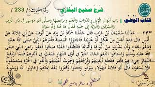 233 - شرح صحيح البخاري كِتَابٌ الْوُضُوءُ  | بَابُ أَبْوَالِ الْإِبِل - رقم الحديث 233 ||د.ماهرالفحل image