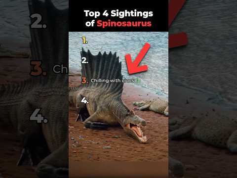 Top 4 SPINOSAURUS Sightings  #dinosaur #spinosaurus #jurassicworld #rebirth
