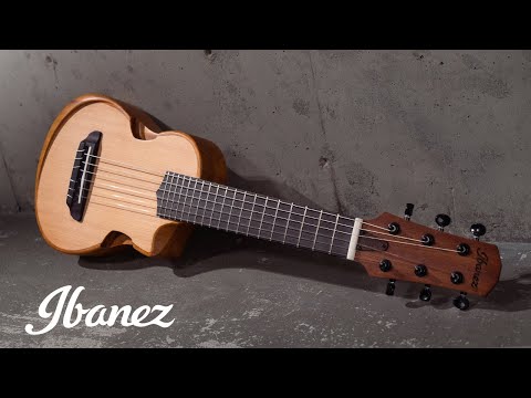 Ibanez AUP10N-OPN