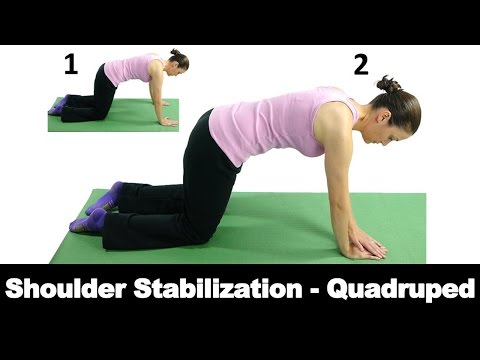 Chin Tucks Sitting Ask Doctor Jo