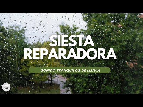 DUERME una SIESTA Mágica y Despierta con VITALIDAD - Sonidos de lluvia para dormir la siesta.