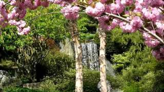 Chon Vang Lee  Npau Sauv Poj Koj