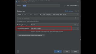 Using/Setting Environment Variables in Intellij IDE