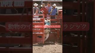 Download lagu 動物のイメージのクラシック mp3 Download lagu 動物のイメージのクラシック mp3