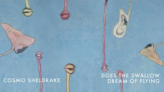Cosmo Sheldrake - Does the Swallow Dream of Flying
