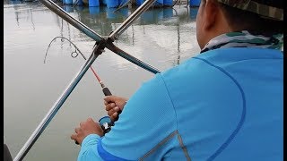 Mancing Pulau Ketam: Ikan tanda, kerapu & Equanimity!