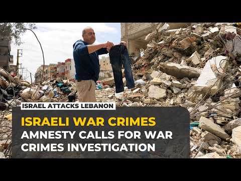Amnesty urges war crimes probe into Israeli strikes in southern Lebanon