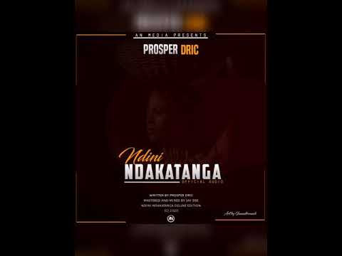 Dric Nycer - Ndini Ndakatanga (Official Audio)