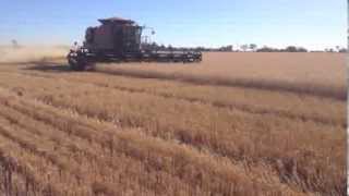 preview picture of video 'Farming at Rochester VIC'