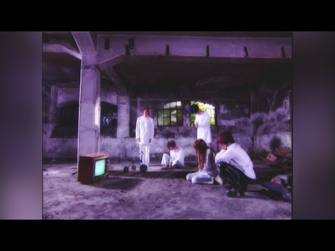 Video thumbnail for 304号室、白死の桜 (304-Goushitsu, Hakushi no Sakura)