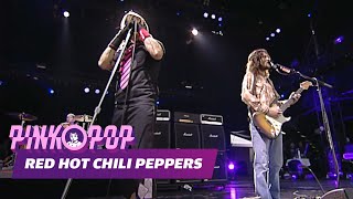 Red Hot Chili Peppers - Snow (Hey Oh) [HD] | Live at Pinkpop 2006