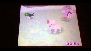 Nintendogs Lab and Friends Part4