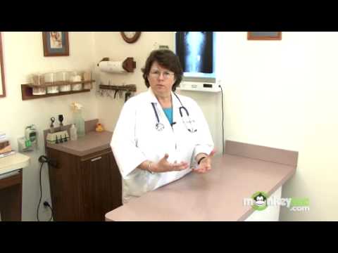 Cat Care - Heartworms and Parasites