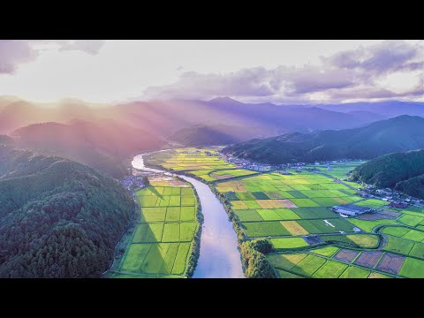 『静けさを空から 四万十町松葉川』〜Matsubagawa from the Sky – Tranquility in Motion〜