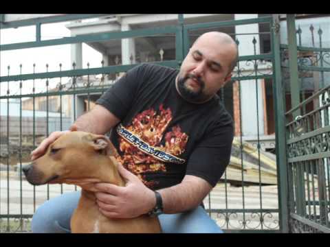 TURKBULLS TANITIM VİDEOSU