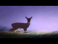 Bambi The Meadow HD