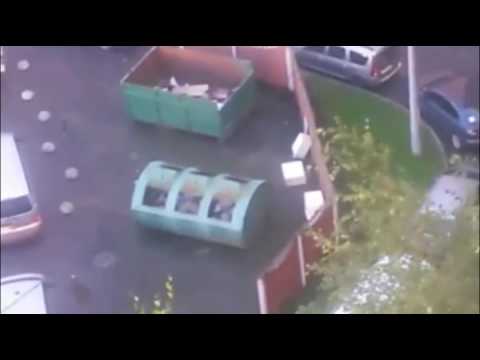 Обложка видео