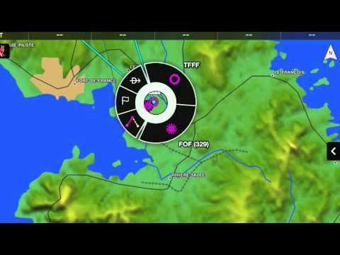 Garmin Pilot For International Air Rally