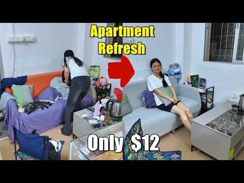 Our Tiny Apartment Was a Disaster… Then We Spent $12