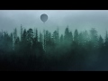 Rasmus Walter - Det stille angreb (fra albummet ...