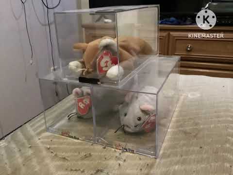 Pixie, Dixie, and Mr. Jinks listen to Dr. Looney’s Remedy by Parachute Express!