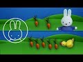 Who Has More Carrots Miffy Friends