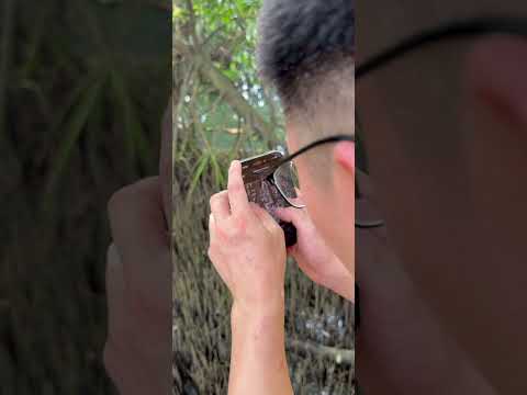 AnimalDex: Animal Scanner video thumbnail