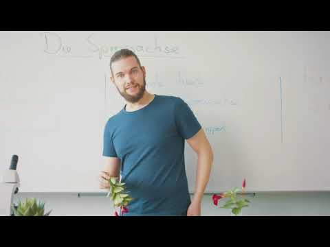 Samsung Neues Lernen – Wassertransport in Blütenpflanzen (Biologie, Klasse 7-8)