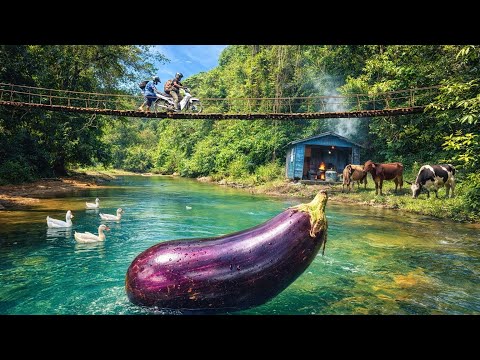COCINANDO en el CAMPO, cruzando PUENTES y RIOS para llevar ALEGRIA
