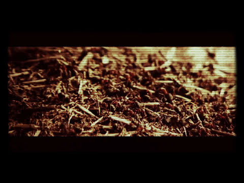 Reject The Sickness - Bloodstained Eyes