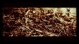 Reject The Sickness - Bloodstained Eyes