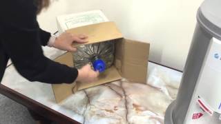 Youtube動画