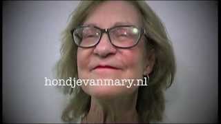 't Hondje van Mary - Promo De Waan van de Dag