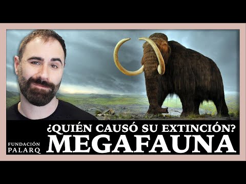 Did We Drive the Megafauna to Extinction? The Story of the Pleistocene