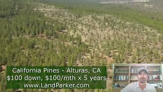 California Pines - 1 Acre - $100 down, $100/month Financing