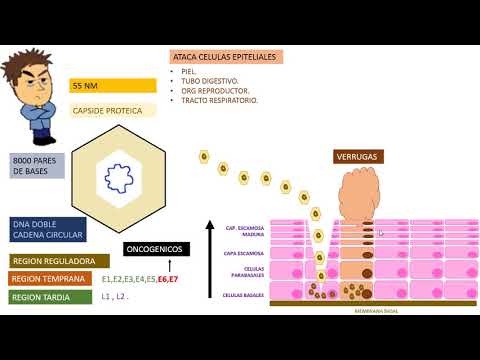 parazit mortal detoxifiere colon tratament