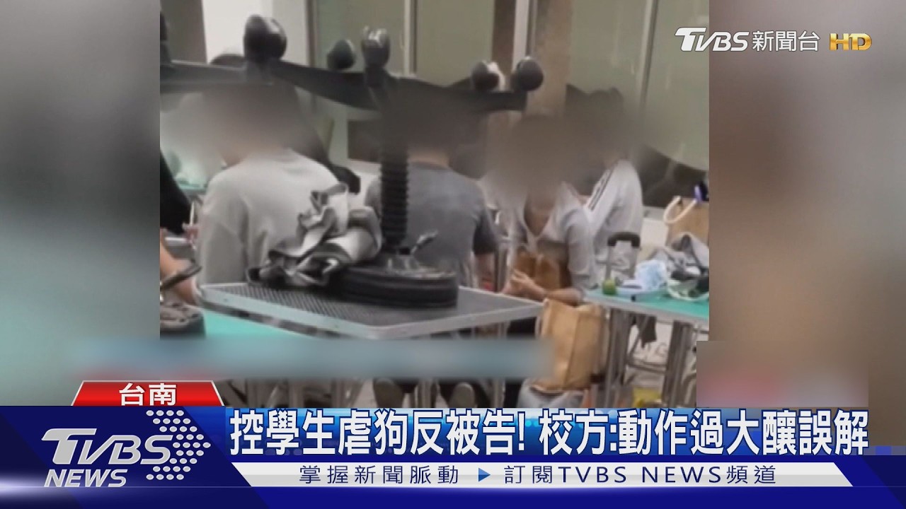影音/控寵物美容系學生涉虐狗反被告! 校方:學生自家狗、動作過大