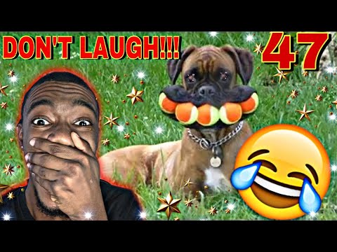 THEY PUT THAT IN HERE?!?! Try Not To Laugh CHALLENGE 47 - by AdiktheOne | REACTION!!!