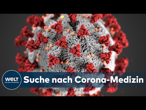WELT INTERVIEW ZU CORONAVIRUS: Es gibt ein Medikament das Covid-19 bremsen könnte