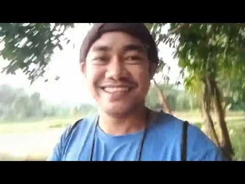 PAGUUMANG NG PATUKBA AT KITANG PANGHULI NG PABUKA OR KASILI