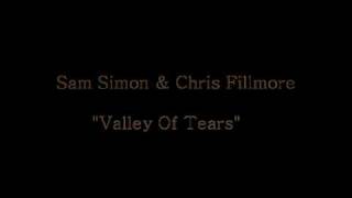 SAM SIMON & CHRIS FILLMORE - Valley Of Tears