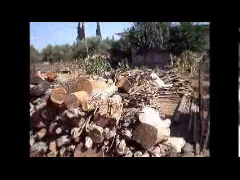 SOULIS....... O ERGATHS......NIFOREIKA