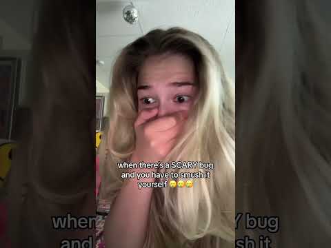 TERRIFYING bug invades my house 😭