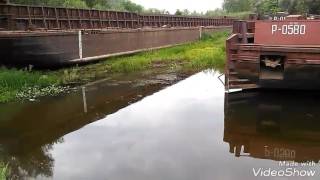 Клев рыбы в речице на днепре