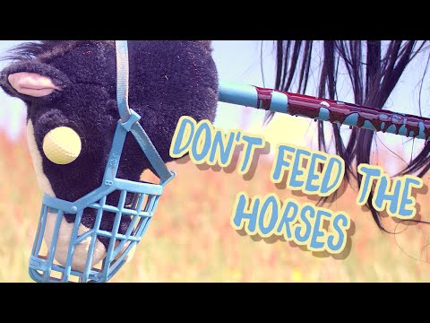Don't Feed The Horses | Micro Short Film