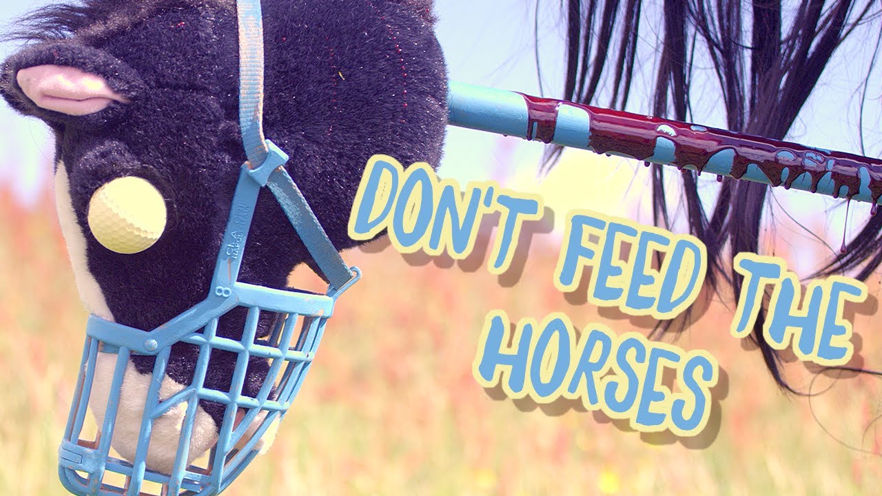 Don't Feed The Horses | Micro Short Film