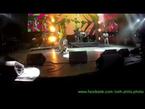 2015.08.22. Anthony B-Freedom Fighter@Uprising Reggae Festival