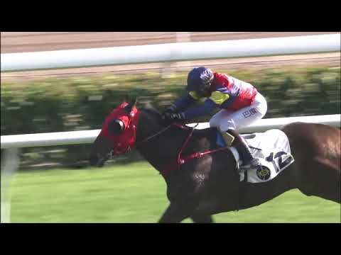 1/1/2021 (311) Namjong Sings - A Badel