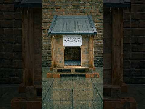 ✅ I Built a Waterproof Shelter for a Stray Dog in the Rain ✅